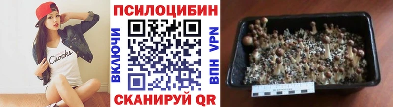 Галлюциногенные грибы прущие грибы  цена наркотик  Фёдоровский 