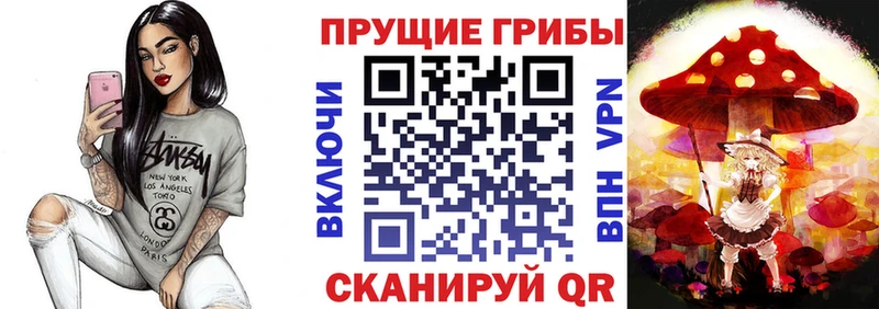 Псилоцибиновые грибы Psilocybe Фёдоровский